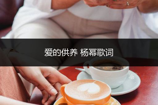 爱的供养 杨幂歌词